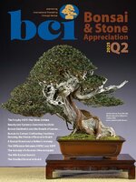 BCI Bonsai & Stone Appreciation Magazine